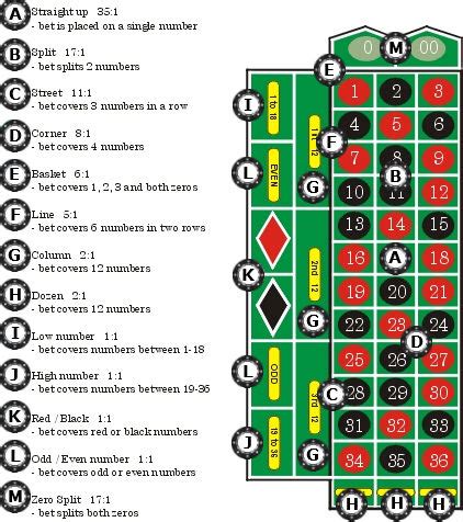 roulette return|Roulette Bets, Odds and Payouts .